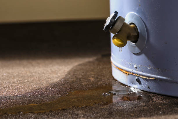 Best Water damage cleanup near me  in Deridder, LA
