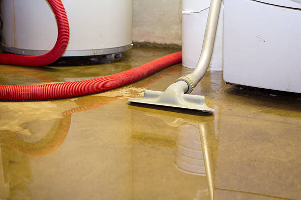 Best Flooded house restoration  in Deridder, LA
