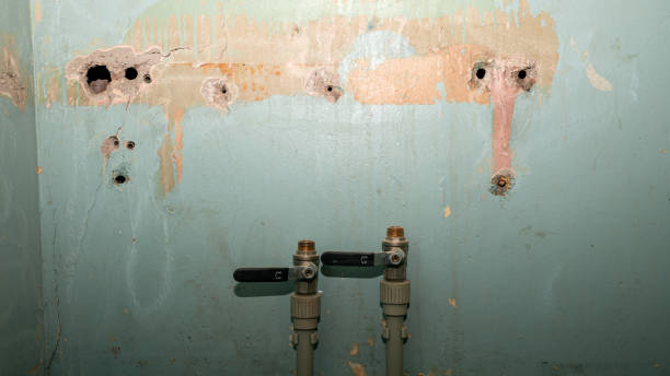 Best Local water damage restoration  in Deridder, LA
